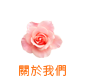 ABOUT DAISO