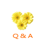 Q&A