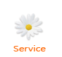SERVICE